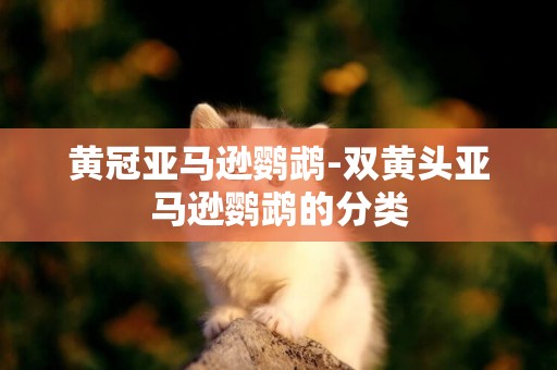 黃冠亞馬遜鸚鵡-雙黃頭亞馬遜鸚鵡的分類