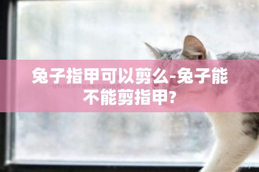 兔子指甲可以剪么-兔子能不能剪指甲?