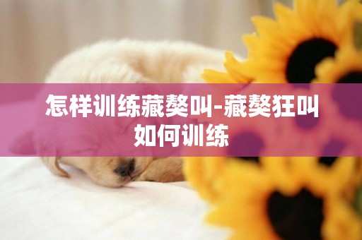 怎樣訓練藏獒叫-藏獒狂叫如何訓練