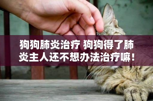 狗狗肺炎治療 狗狗得了肺炎主人還不想辦法治療嘛! 狗狗肺炎治療 狗狗得了肺炎主人還不想辦法治療嘛!