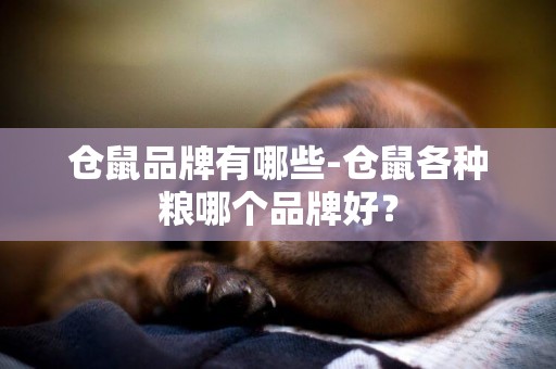 倉鼠品牌有哪些-倉鼠各種糧哪個品牌好？
