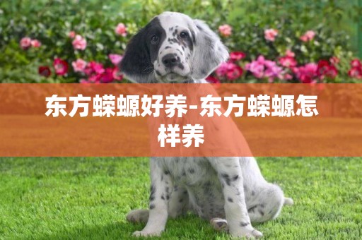 東方蠑螈好養-東方蠑螈怎樣養