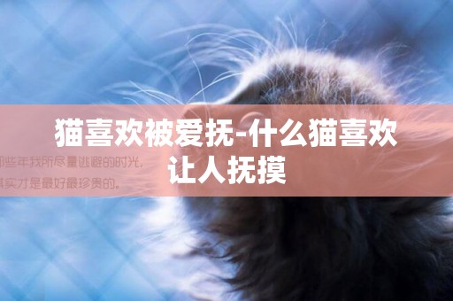 貓喜歡被愛撫-什么貓喜歡讓人撫摸