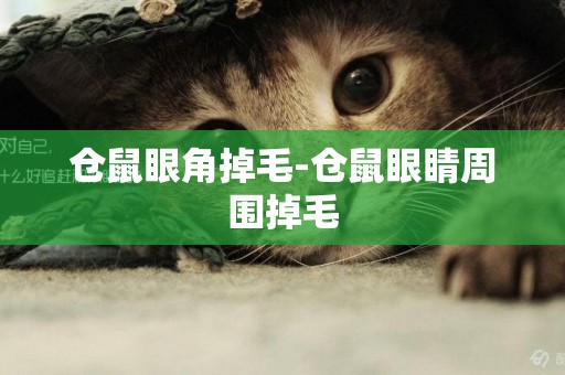 倉鼠眼角掉毛-倉鼠眼睛周圍掉毛