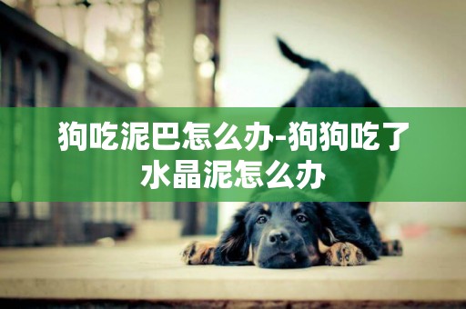 狗吃泥巴怎么辦-狗狗吃了水晶泥怎么辦