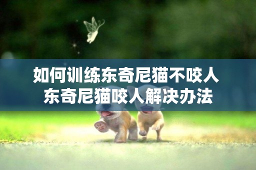 如何訓練東奇尼貓不咬人 東奇尼貓咬人解決辦法