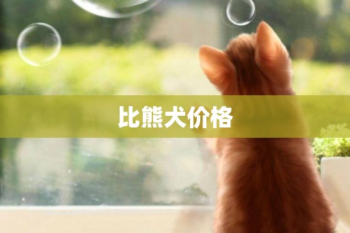 比熊犬價格