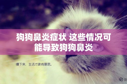 狗狗鼻炎癥狀 這些情況可能導致狗狗鼻炎