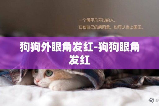 狗狗外眼角發紅-狗狗眼角發紅