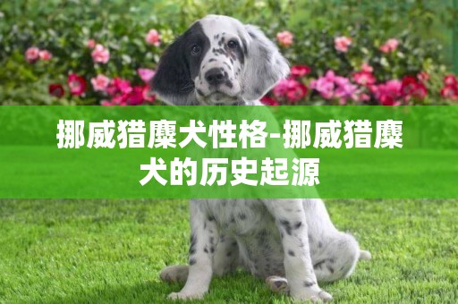 挪威獵麋犬性格-挪威獵麋犬的歷史起源