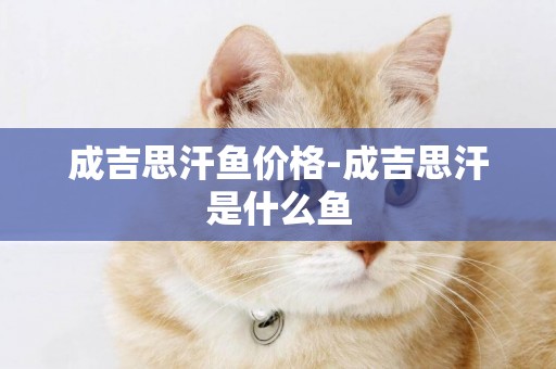 成吉思汗魚價格-成吉思汗是什么魚