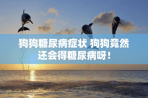 狗狗糖尿病癥狀 狗狗竟然還會得糖尿病呀！