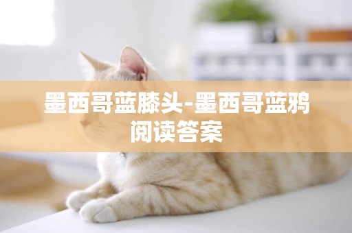 墨西哥藍膝頭-墨西哥藍鴉閱讀答案