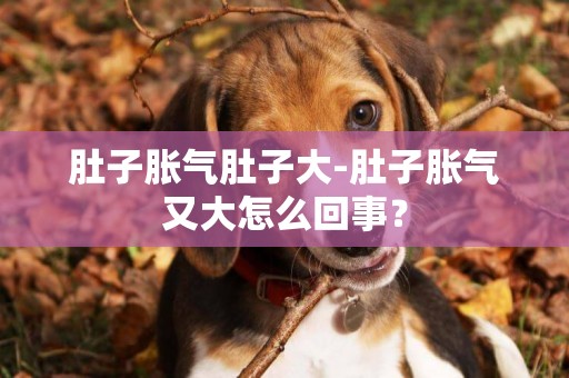 肚子脹氣肚子大-肚子脹氣又大怎么回事？