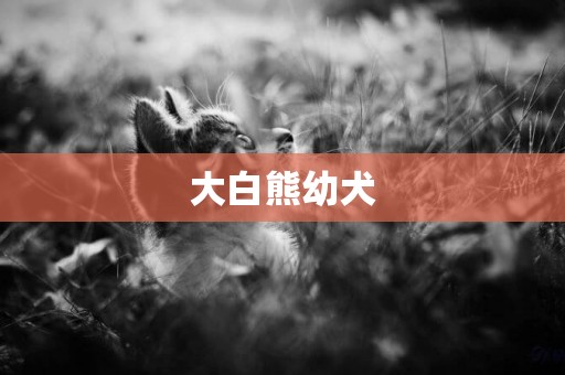 大白熊幼犬