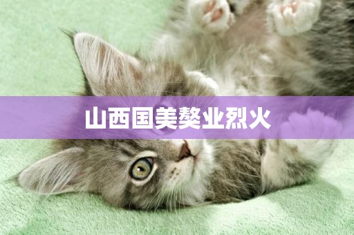 山西國美獒業烈火