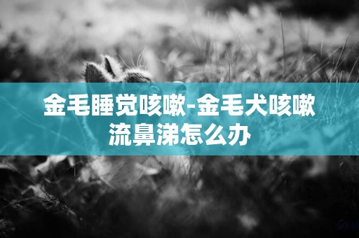 金毛睡覺咳嗽-金毛犬咳嗽流鼻涕怎么辦