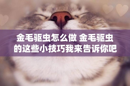 金毛驅蟲怎么做 金毛驅蟲的這些小技巧我來告訴你吧！