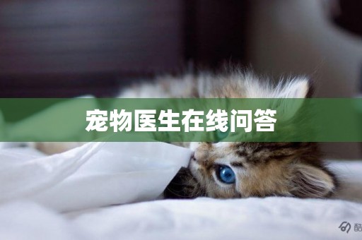 寵物醫生在線問答