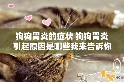 狗狗胃炎的癥狀 狗狗胃炎引起原因是哪些我來告訴你吧！