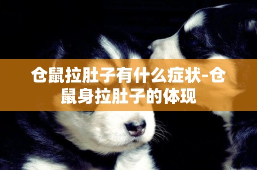 倉鼠拉肚子有什么癥狀-倉鼠身拉肚子的體現