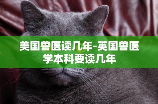 美國獸醫讀幾年-英國獸醫學本科要讀幾年