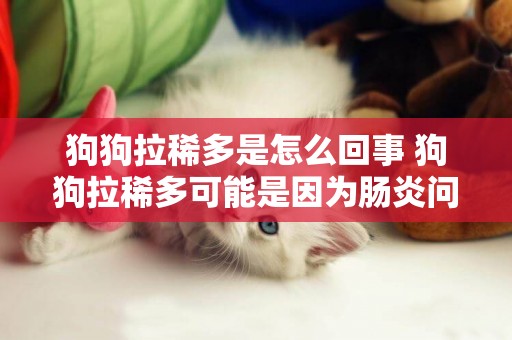 狗狗拉稀多是怎么回事 狗狗拉稀多可能是因為腸炎問題！