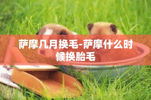 薩摩幾月換毛-薩摩什么時候換胎毛