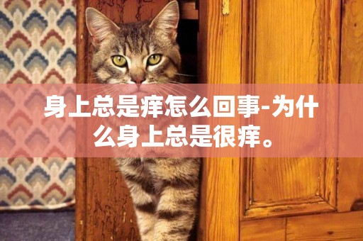 身上總是癢怎么回事-為什么身上總是很癢。