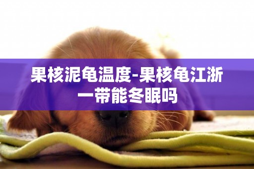 果核泥龜溫度-果核龜江浙一帶能冬眠嗎
