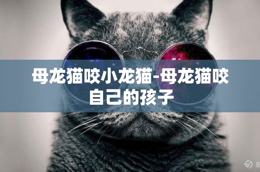 母龍貓咬小龍貓-母龍貓咬自己的孩子