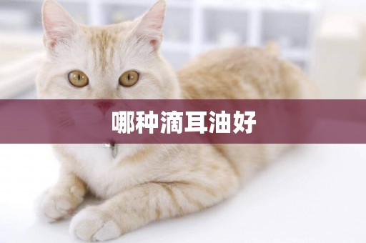 哪種滴耳油好