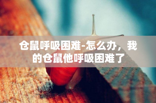 倉鼠呼吸困難-怎么辦，我的倉鼠他呼吸困難了