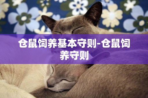 倉鼠飼養基本守則-倉鼠飼養守則
