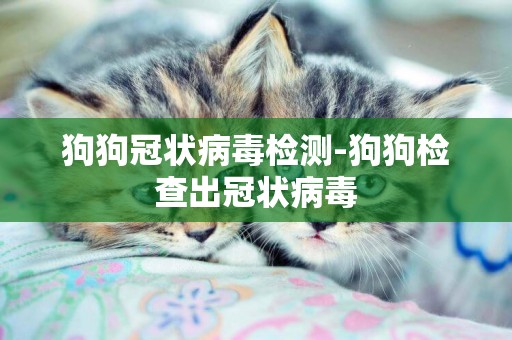 狗狗冠狀病毒檢測-狗狗檢查出冠狀病毒
