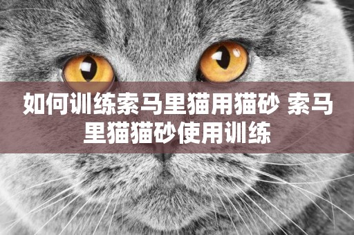 如何訓練索馬里貓用貓砂 索馬里貓貓砂使用訓練