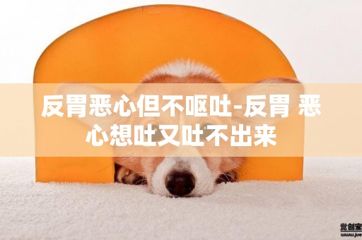 反胃惡心但不嘔吐-反胃 惡心想吐又吐不出來