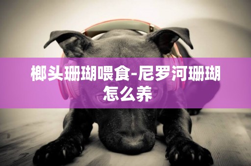 榔頭珊瑚喂食-尼羅河珊瑚 怎么養