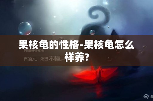 果核龜的性格-果核龜怎么樣養?
