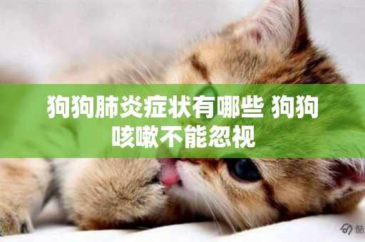 狗狗肺炎癥狀有哪些 狗狗咳嗽不能忽視