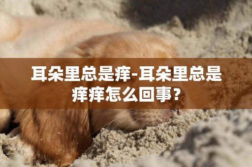 耳朵里總是癢-耳朵里總是癢癢怎么回事？