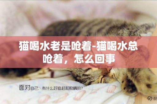 貓喝水老是嗆著-貓喝水總嗆著，怎么回事