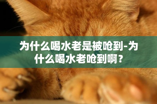 為什么喝水老是被嗆到-為什么喝水老嗆到啊？