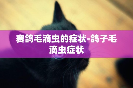 賽鴿毛滴蟲的癥狀-鴿子毛滴蟲癥狀