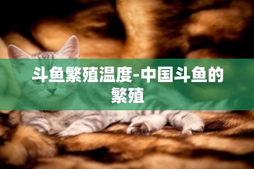 斗魚繁殖溫度-中國斗魚的繁殖