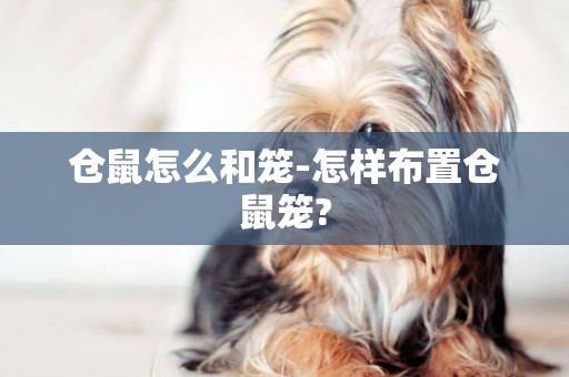 倉鼠怎么和籠-怎樣布置倉鼠籠?