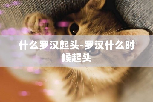 什么羅漢起頭-羅漢什么時候起頭