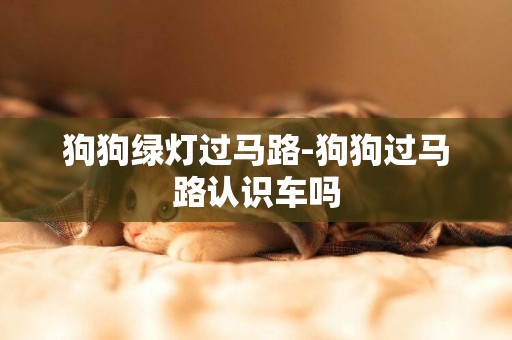 狗狗綠燈過馬路-狗狗過馬路認識車嗎
