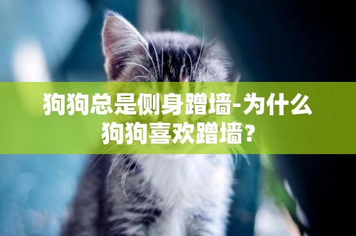 狗狗總是側身蹭墻-為什么狗狗喜歡蹭墻？