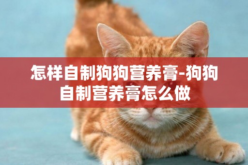 怎樣自制狗狗營養膏-狗狗自制營養膏怎么做